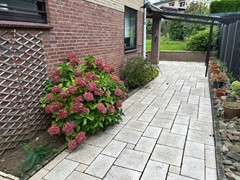 Buijsroggestraat 9005.JPG